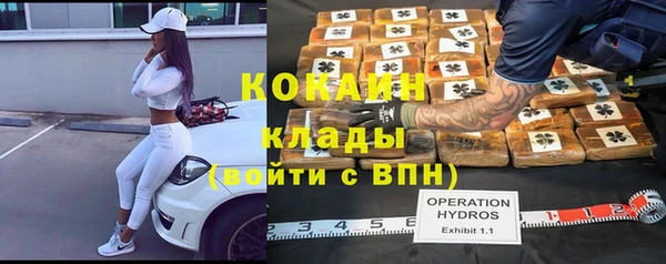 крисы Арсеньев