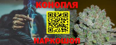 шишки Бийск
