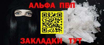 шишки Бийск