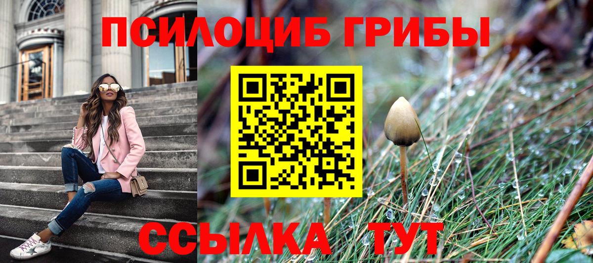 Галлюциногенные грибы Psilocybine cubensis  Вход с VPN  Ачинск 