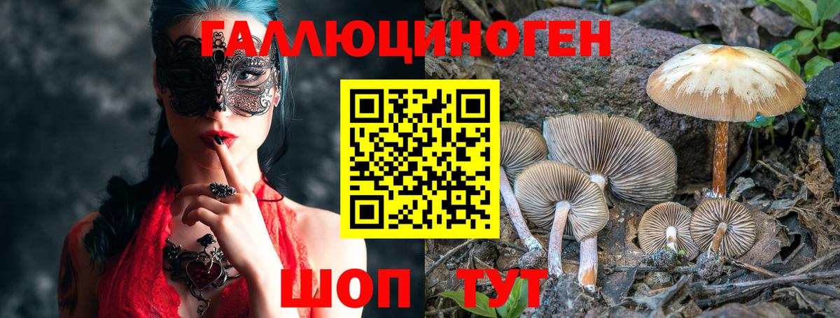 Галлюциногенные грибы MAGIC MUSHROOMS Ачинск
