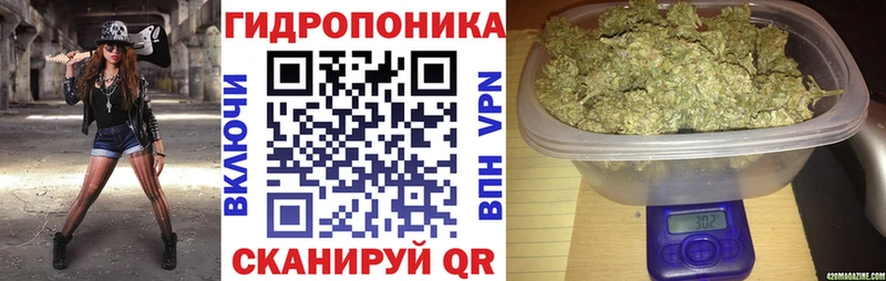 кракен как зайти Ачинск Шишки марихуана SATIVA & INDICA